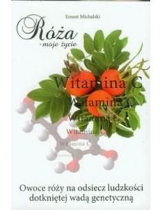 RÓŻA-MOJE ŻYCIE. ERNEST MICHALSKI - ŹRÓDŁA ŻYCIA