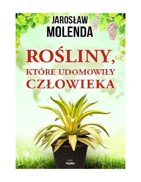 copy of HISTORIA WEWNĘTRZNA GIULIA ENDERS