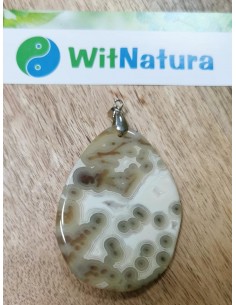 copy of A NIECH SIĘ BRUDZĄ ! BRETT FINLAY MARIE-CLAIRE ARRIETA