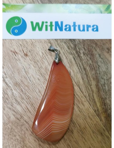 copy of A NIECH SIĘ BRUDZĄ ! BRETT FINLAY MARIE-CLAIRE ARRIETA