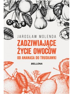 copy of HISTORIA WEWNĘTRZNA GIULIA ENDERS