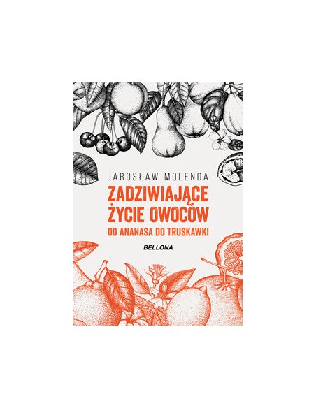 copy of HISTORIA WEWNĘTRZNA GIULIA ENDERS