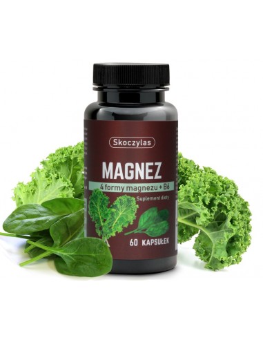 MAGNEZ 4 FORMY + B6. SZPINAK, JARMUŻ. 60 KAPS. - MAREK SKOCZYLAS