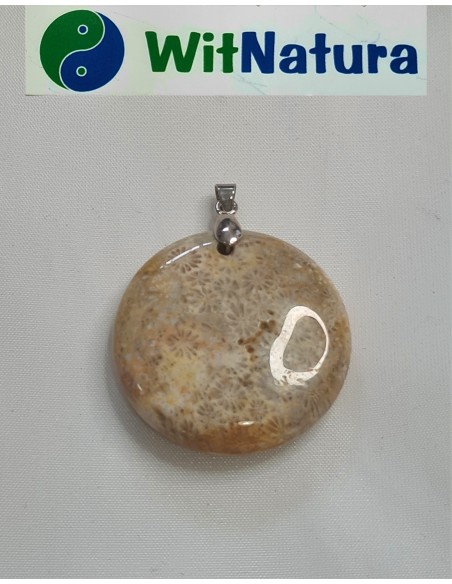 copy of A NIECH SIĘ BRUDZĄ ! BRETT FINLAY MARIE-CLAIRE ARRIETA