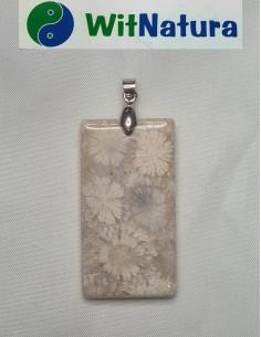 KORAL SKAMIENIAŁY, ZAWIESZKA PROSTOKĄT