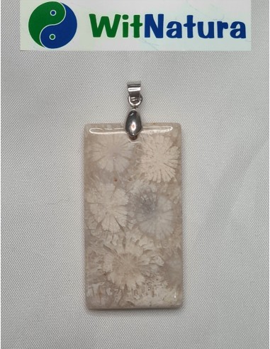 copy of A NIECH SIĘ BRUDZĄ ! BRETT FINLAY MARIE-CLAIRE ARRIETA