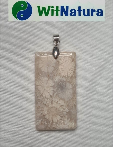 KORAL SKAMIENIAŁY, ZAWIESZKA PROSTOKĄT