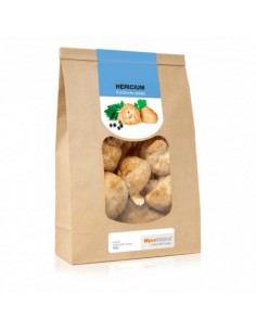 HERICIUM ( SOPLÓWKA JEŻOWATA ) SUSZONE GRZYBY 100 G. - MYCOMEDICA