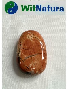 copy of A NIECH SIĘ BRUDZĄ ! BRETT FINLAY MARIE-CLAIRE ARRIETA