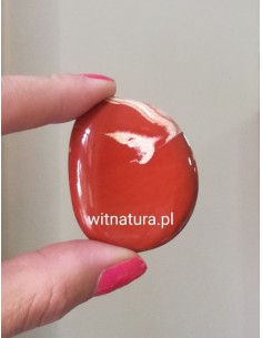 copy of A NIECH SIĘ BRUDZĄ ! BRETT FINLAY MARIE-CLAIRE ARRIETA 2