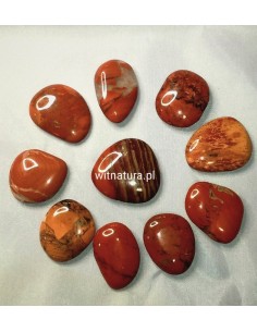 copy of A NIECH SIĘ BRUDZĄ ! BRETT FINLAY MARIE-CLAIRE ARRIETA