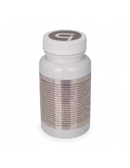 MENOVIS 60 KAPS. VISANTO UKRYTE TERAPIE JERZY ZIĘBA