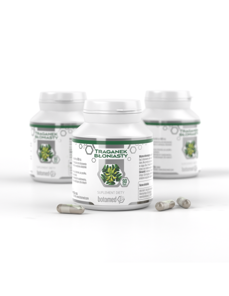 TRAGANEK BŁONIASTY 90 kaps. JAN ORUBA - B&M