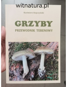 copy of A NIECH SIĘ BRUDZĄ ! BRETT FINLAY MARIE-CLAIRE ARRIETA