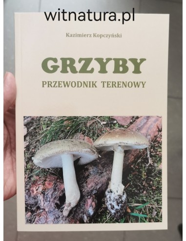 copy of A NIECH SIĘ BRUDZĄ ! BRETT FINLAY MARIE-CLAIRE ARRIETA