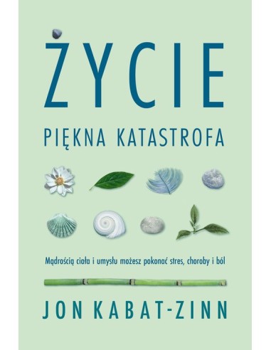 ŻYCIE, PIĘKNA KATASTROFA. Jon Kabat-Zinn - CZARNA OWCA