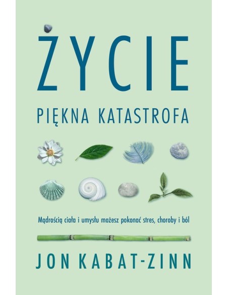 ŻYCIE, PIĘKNA KATASTROFA. Jon Kabat-Zinn - CZARNA OWCA