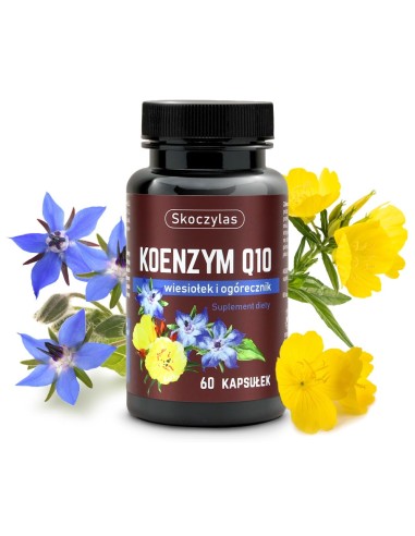 KOENZYM Q10, 60 VEGE KAPS. - MAREK SKOCZYLAS