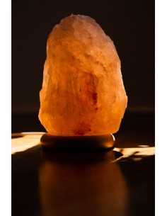 copy of NAC N-ACETYL CYSTEINE WITH SELENIUM & MOLYBDENUM 600mcg 100vcaps NOW FOODS 2