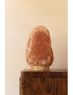 copy of NAC N-ACETYL CYSTEINE WITH SELENIUM & MOLYBDENUM 600mcg 100vcaps NOW FOODS 2