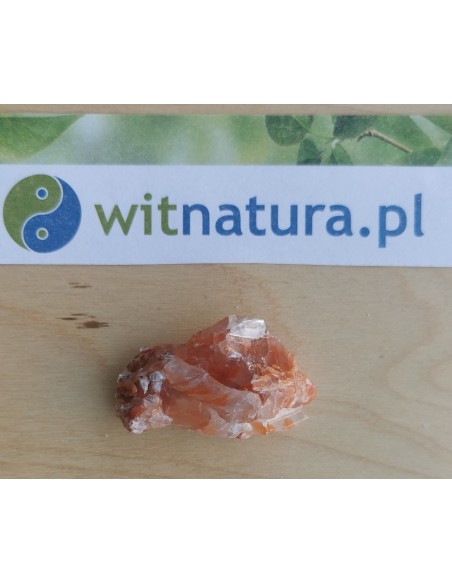 copy of A NIECH SIĘ BRUDZĄ ! BRETT FINLAY MARIE-CLAIRE ARRIETA