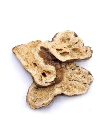 BIAŁY ATRAKTYLOD - KŁĄCZE - BAI ZHU, 100G - PROJMAR