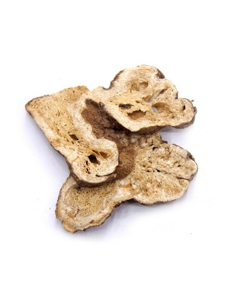 BIAŁY ATRAKTYLOD - KŁĄCZE - BAI ZHU, 100G - PROJMAR