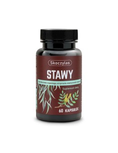 STAWY 60 KAPS. - MAREK SKOCZYLAS 2