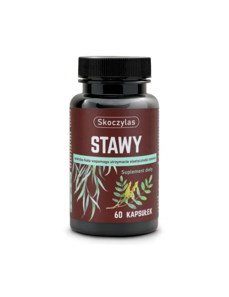 STAWY 60 KAPS. - MAREK SKOCZYLAS