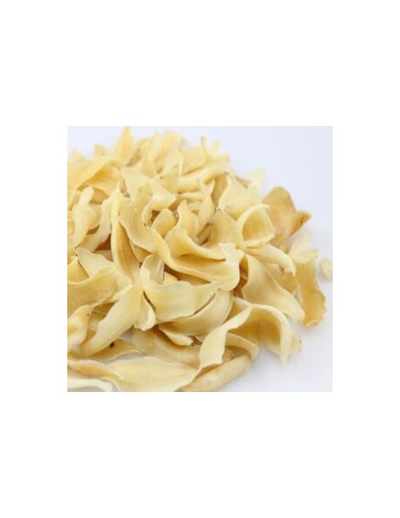 LILIA CEBULA - BULBUS LILLI - BAI HE - 100G - PROJMAR