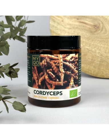 CORDYCEPS SINENSIS BIO, EKSTRAKT W PROSZKU 100G - MYQO