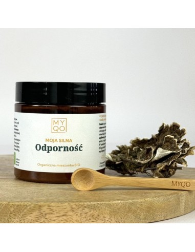 copy of NATTOKINAZA 60kaps. KENAYAG