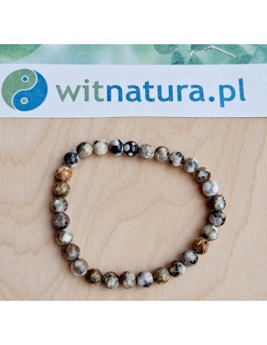 copy of A NIECH SIĘ BRUDZĄ ! BRETT FINLAY MARIE-CLAIRE ARRIETA