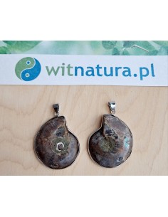 copy of A NIECH SIĘ BRUDZĄ ! BRETT FINLAY MARIE-CLAIRE ARRIETA 2