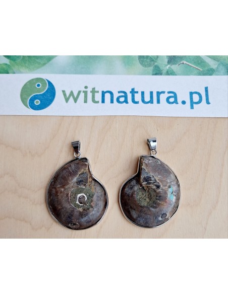 copy of A NIECH SIĘ BRUDZĄ ! BRETT FINLAY MARIE-CLAIRE ARRIETA