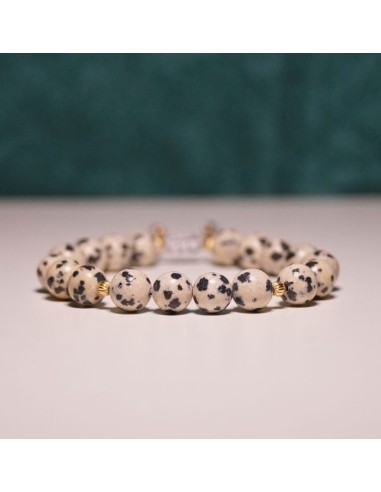 copy of A NIECH SIĘ BRUDZĄ ! BRETT FINLAY MARIE-CLAIRE ARRIETA