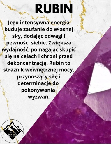 copy of A NIECH SIĘ BRUDZĄ ! BRETT FINLAY MARIE-CLAIRE ARRIETA