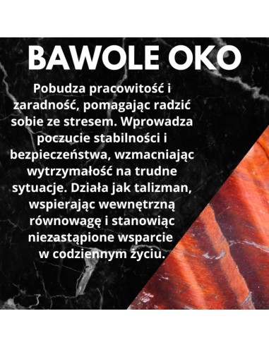 copy of A NIECH SIĘ BRUDZĄ ! BRETT FINLAY MARIE-CLAIRE ARRIETA