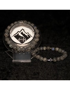 copy of A NIECH SIĘ BRUDZĄ ! BRETT FINLAY MARIE-CLAIRE ARRIETA