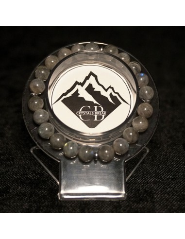 copy of A NIECH SIĘ BRUDZĄ ! BRETT FINLAY MARIE-CLAIRE ARRIETA