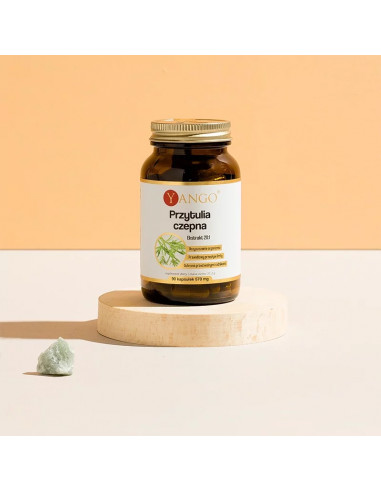 copy of NATTOKINAZA 60kaps. KENAYAG