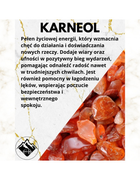 copy of A NIECH SIĘ BRUDZĄ ! BRETT FINLAY MARIE-CLAIRE ARRIETA