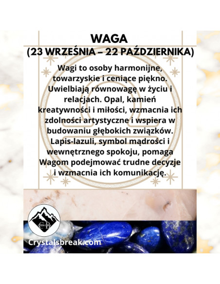 copy of A NIECH SIĘ BRUDZĄ ! BRETT FINLAY MARIE-CLAIRE ARRIETA