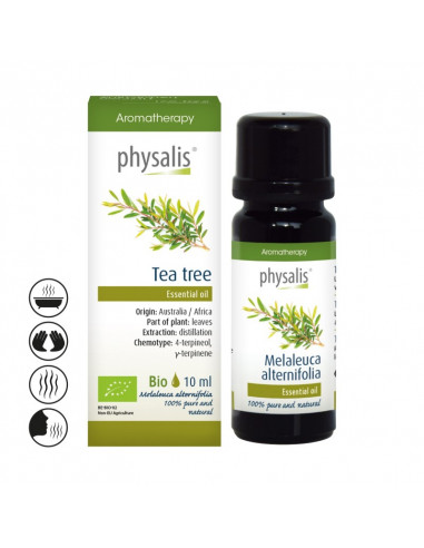 DRZEWKO HERBACIANE EKO, OLEJEK ETERYCZNY 10ML- PHYSALIS