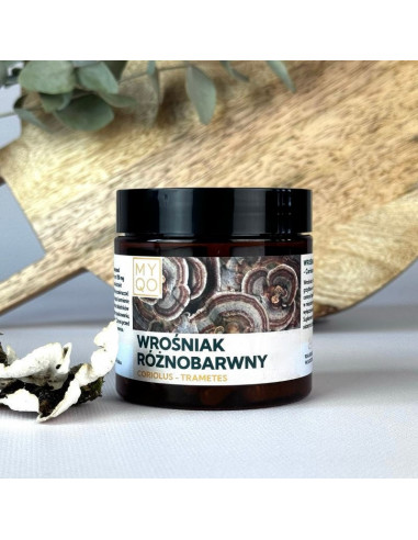 copy of NATTOKINAZA 60kaps. KENAYAG