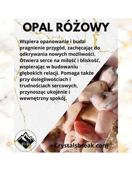 copy of A NIECH SIĘ BRUDZĄ ! BRETT FINLAY MARIE-CLAIRE ARRIETA