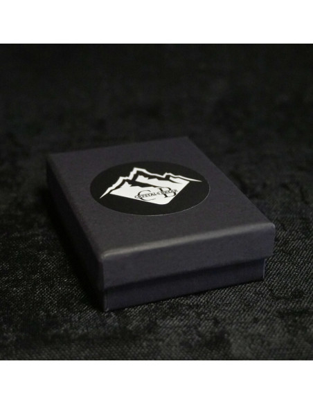 Naszyjnik LEW X TURMALIN Srebrny - Crystals Break