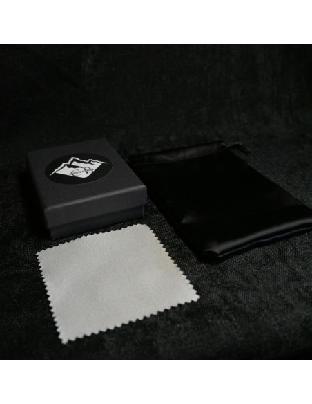 Naszyjnik LEW X TURMALIN Srebrny - Crystals Break