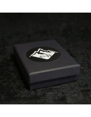 Naszyjnik LEW X TURMALIN Złota - Crystals Break