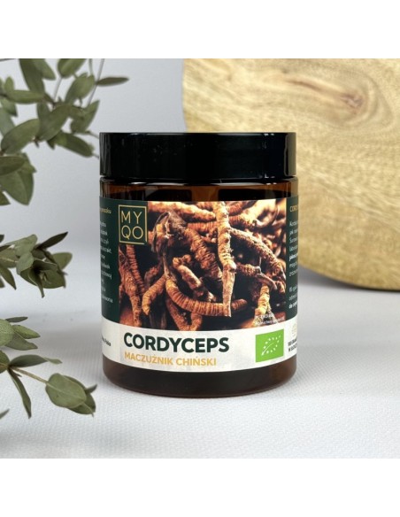 CORDYCEPS MILITARIS - MACZUŻNIK BOJOWY 100 G - MYQO